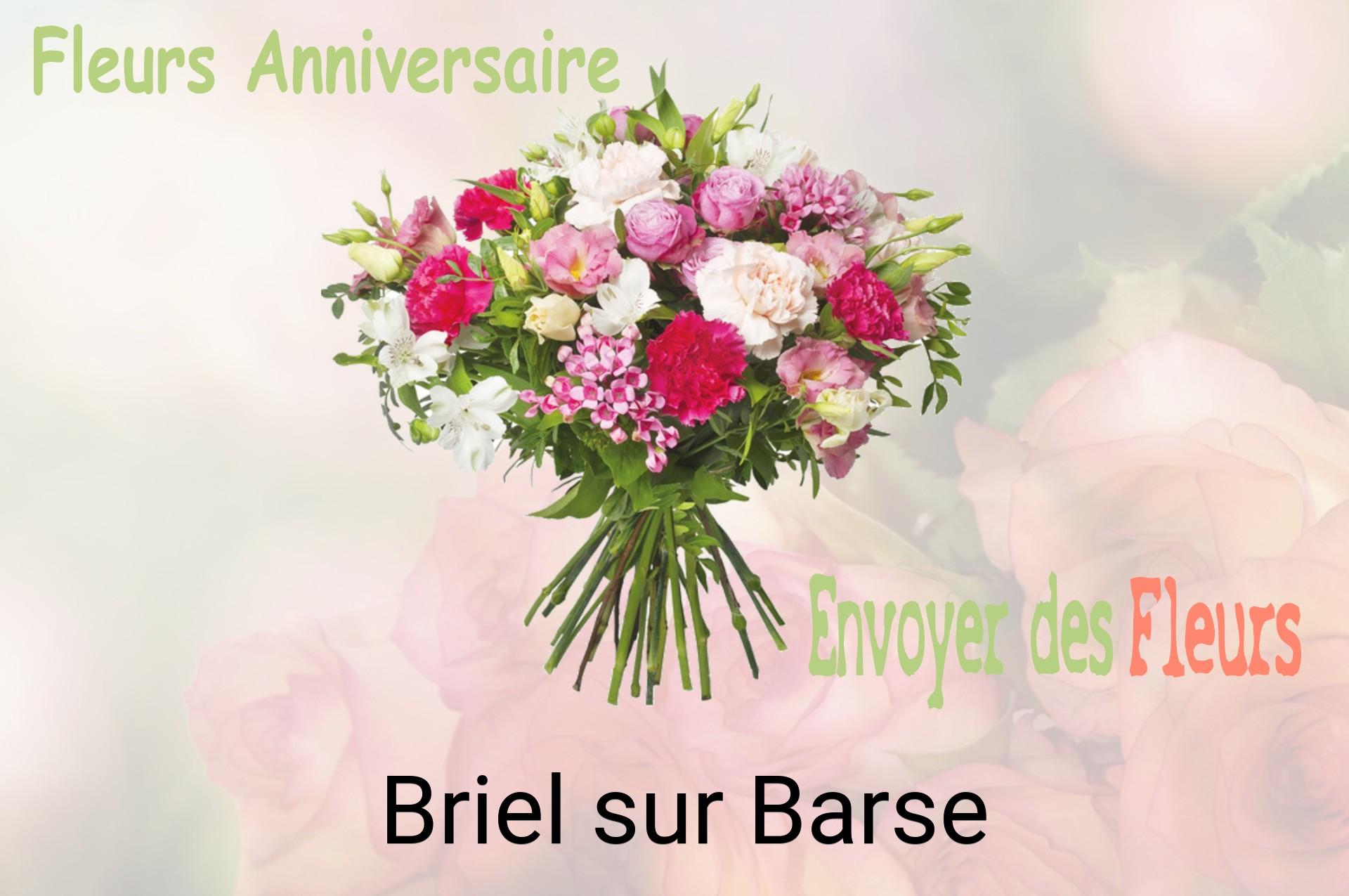 Bouquet de fleurs d’anniversaire livré à Briel-sur-Barse