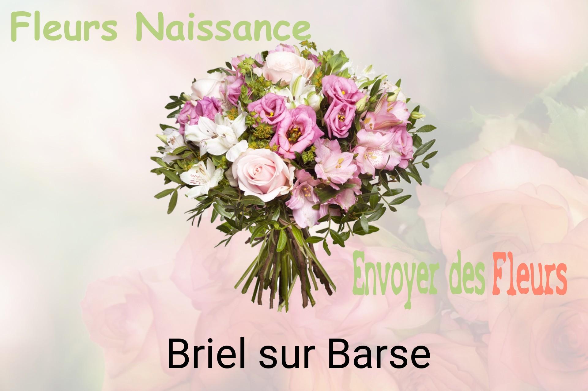 Bouquet de fleurs de naissance livré à Briel-sur-Barse