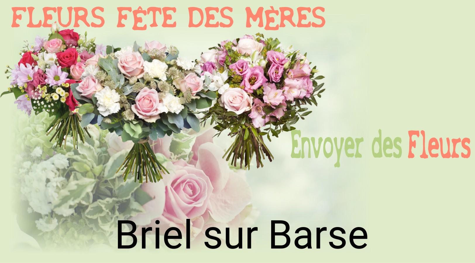 Bouquet de Fête des Mères livré à Briel-sur-Barse